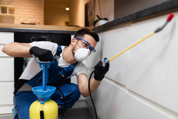 Best Termite Control Services  in Pigeon Forge, TN