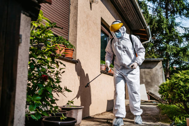 Best Best Pest Control Companies  in Pigeon Forge, TN