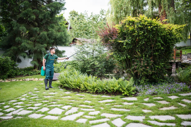 Pest Prevention Services in Pigeon Forge, TN