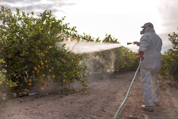 Professional Pest Control in Pigeon Forge, TN