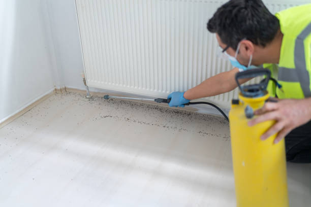 Best Bed Bug Extermination  in Pigeon Forge, TN