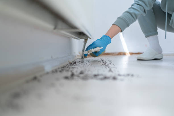 Best Commercial Pest Control Services  in Pigeon Forge, TN