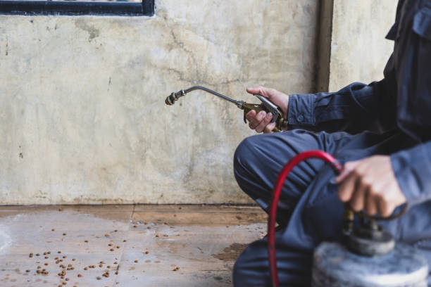Best Pest Control Near Me  in Pigeon Forge, TN